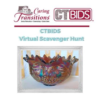 CTBIDS Virtual Scavenger Hunt!